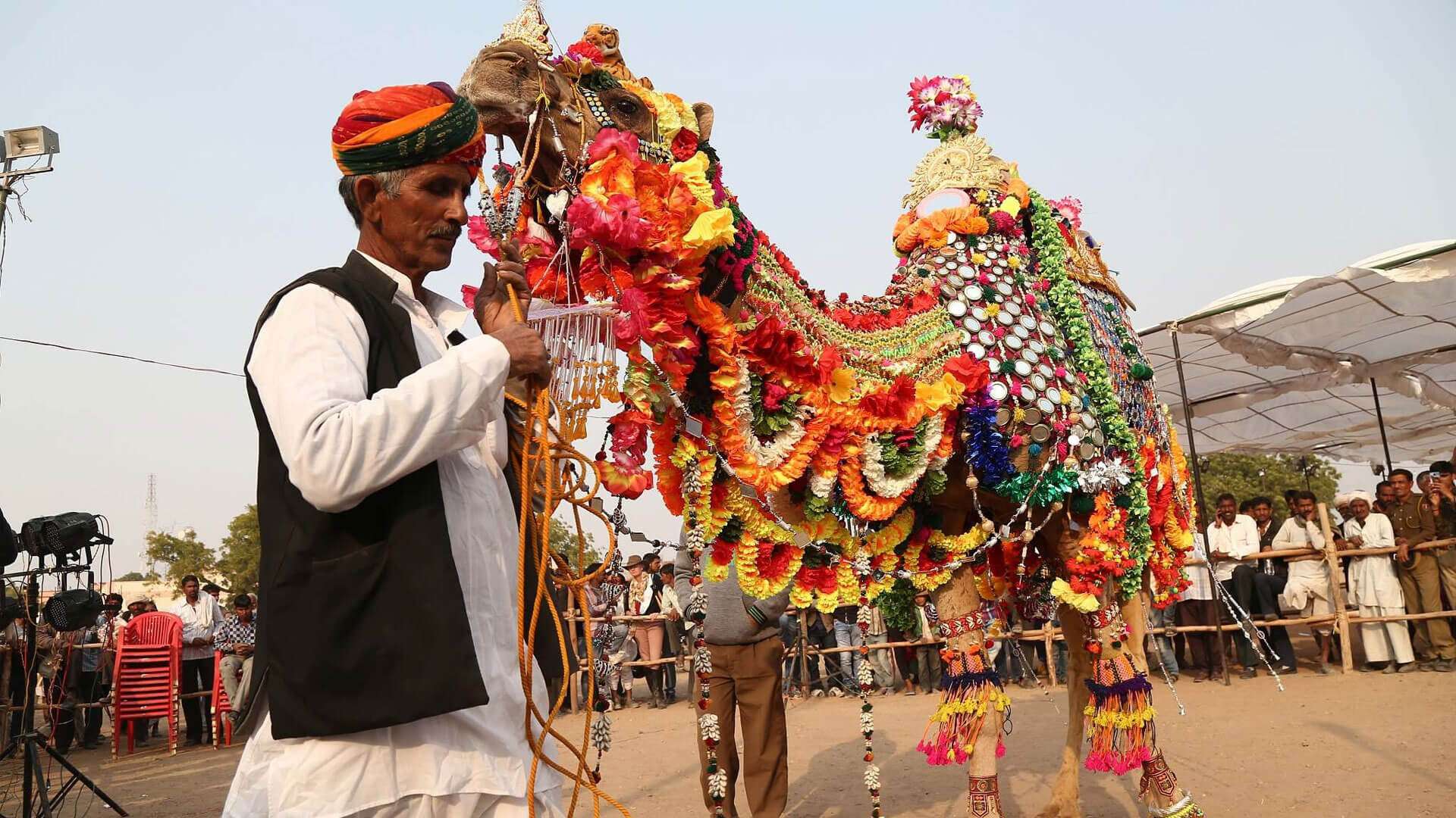 Nagaur Cattle Fair Rajasthan 2025 Date, History, Major Attractions